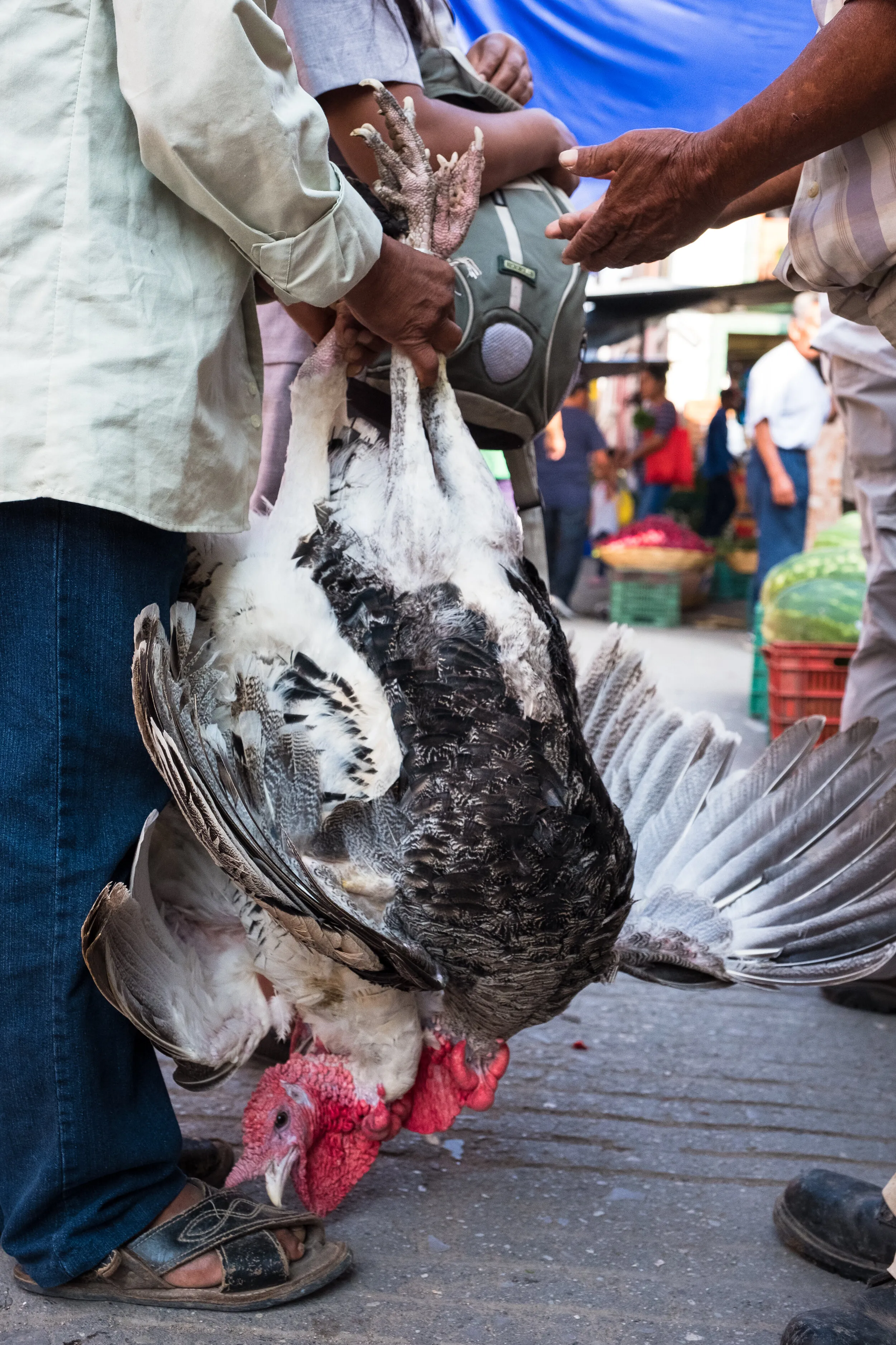 Markets Around the World