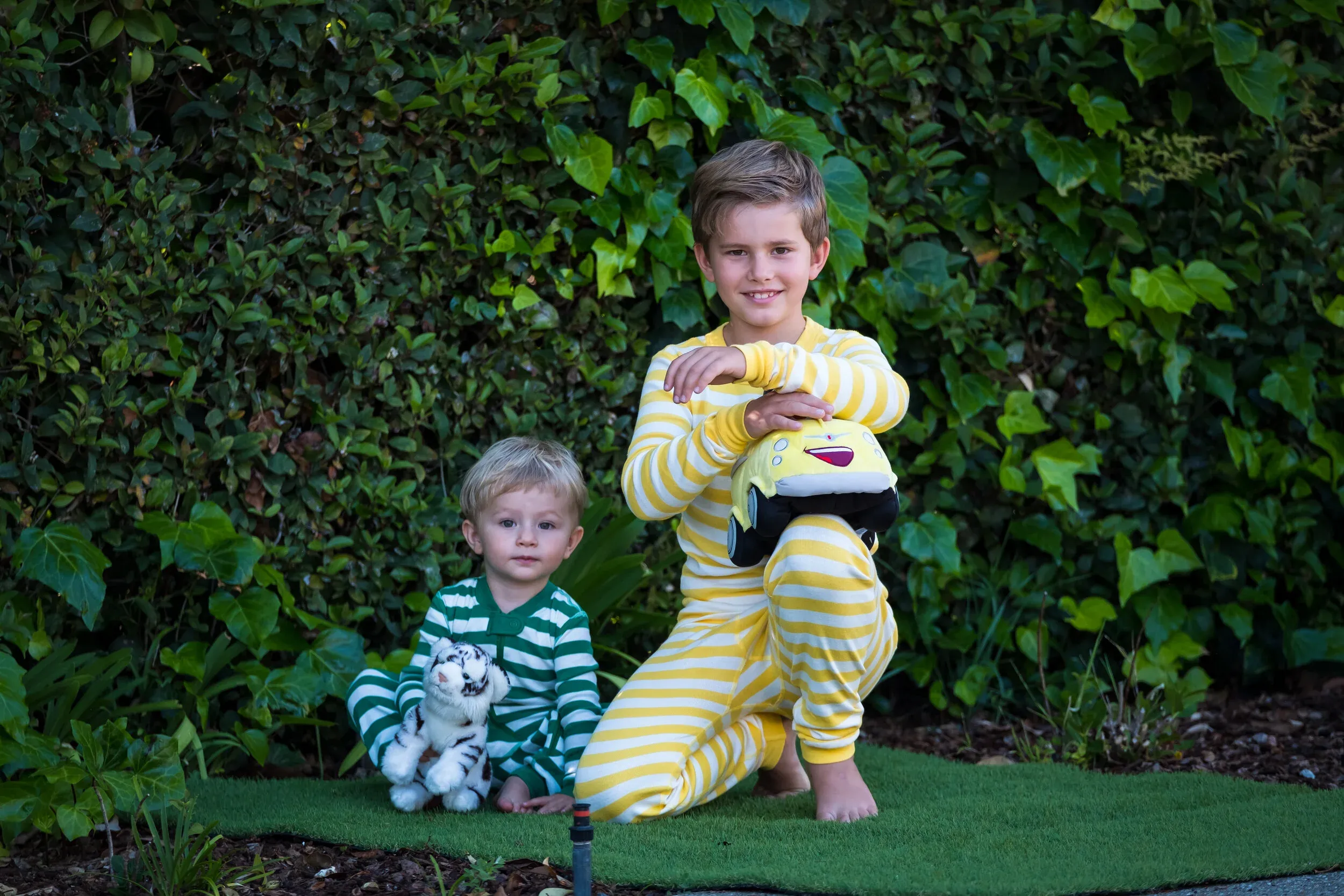 The Front Steps, Palo Alto — 4