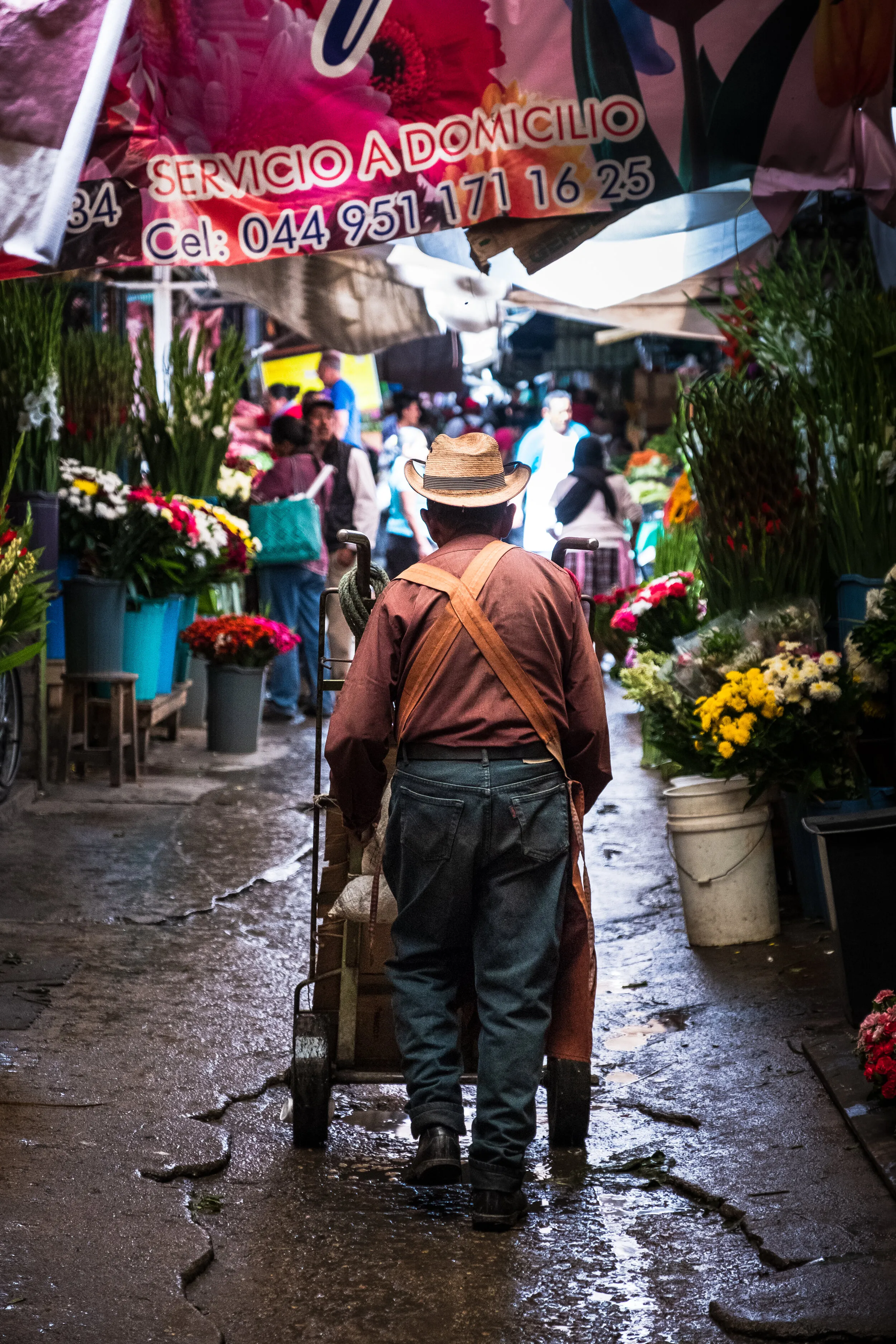Mercado Benito Juárez, Oaxaca, Mexico | 2019