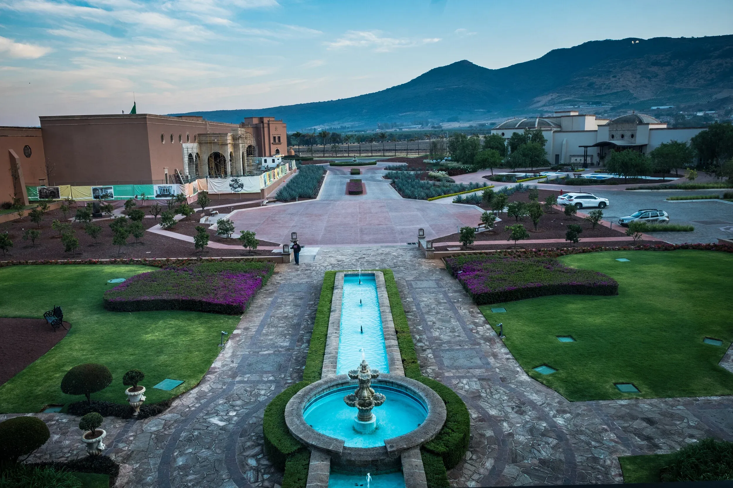 Agave field at Hacienda Patrón