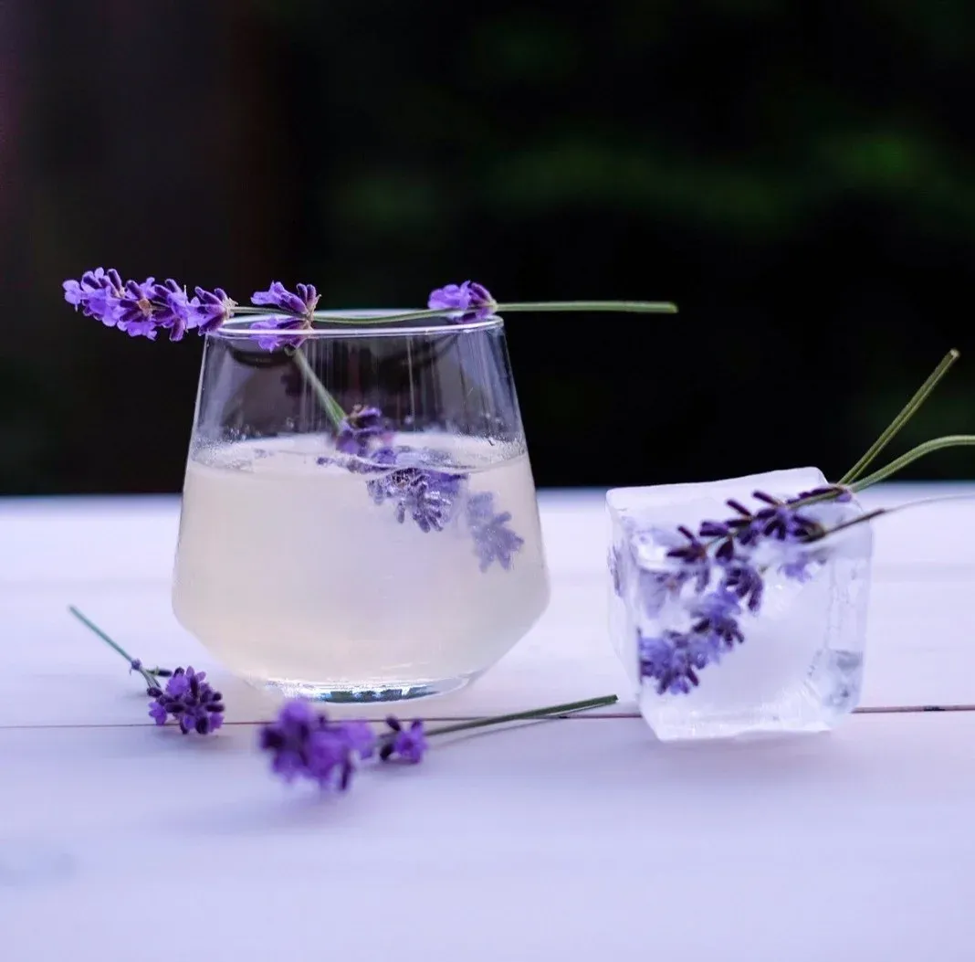 Lemon Lavender Gin cocktail with lavender blossoms