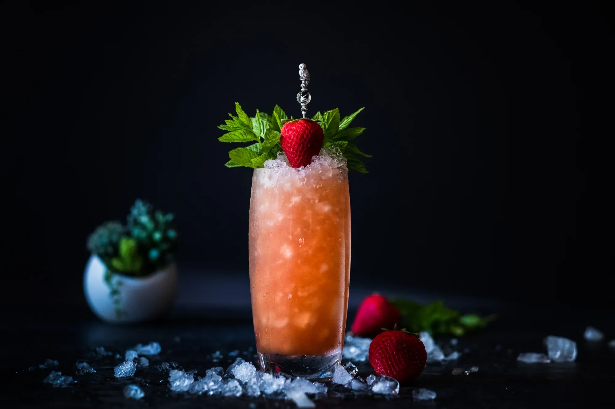 Prescription Julep cocktail close-up