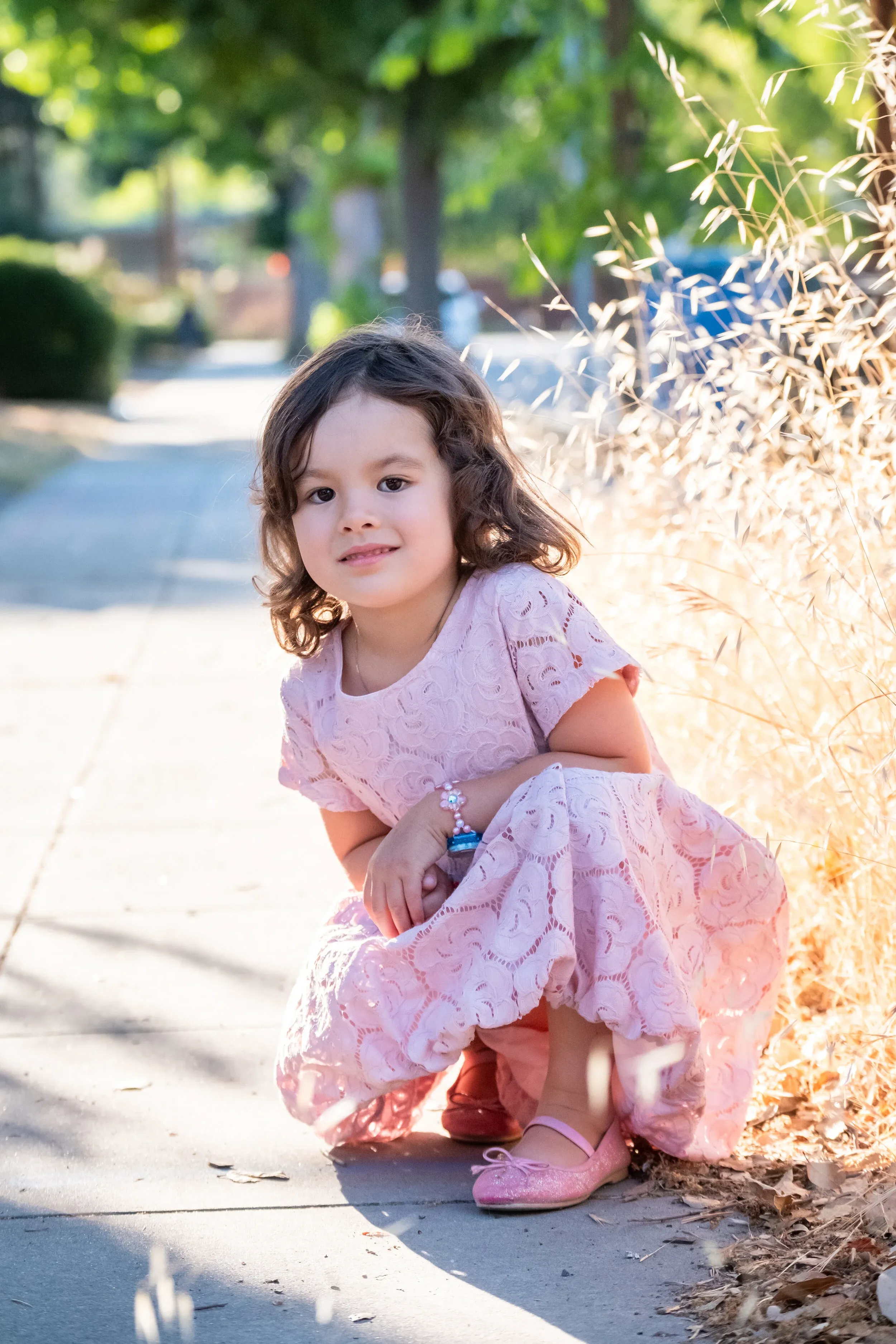 The Front Steps, Palo Alto — 31