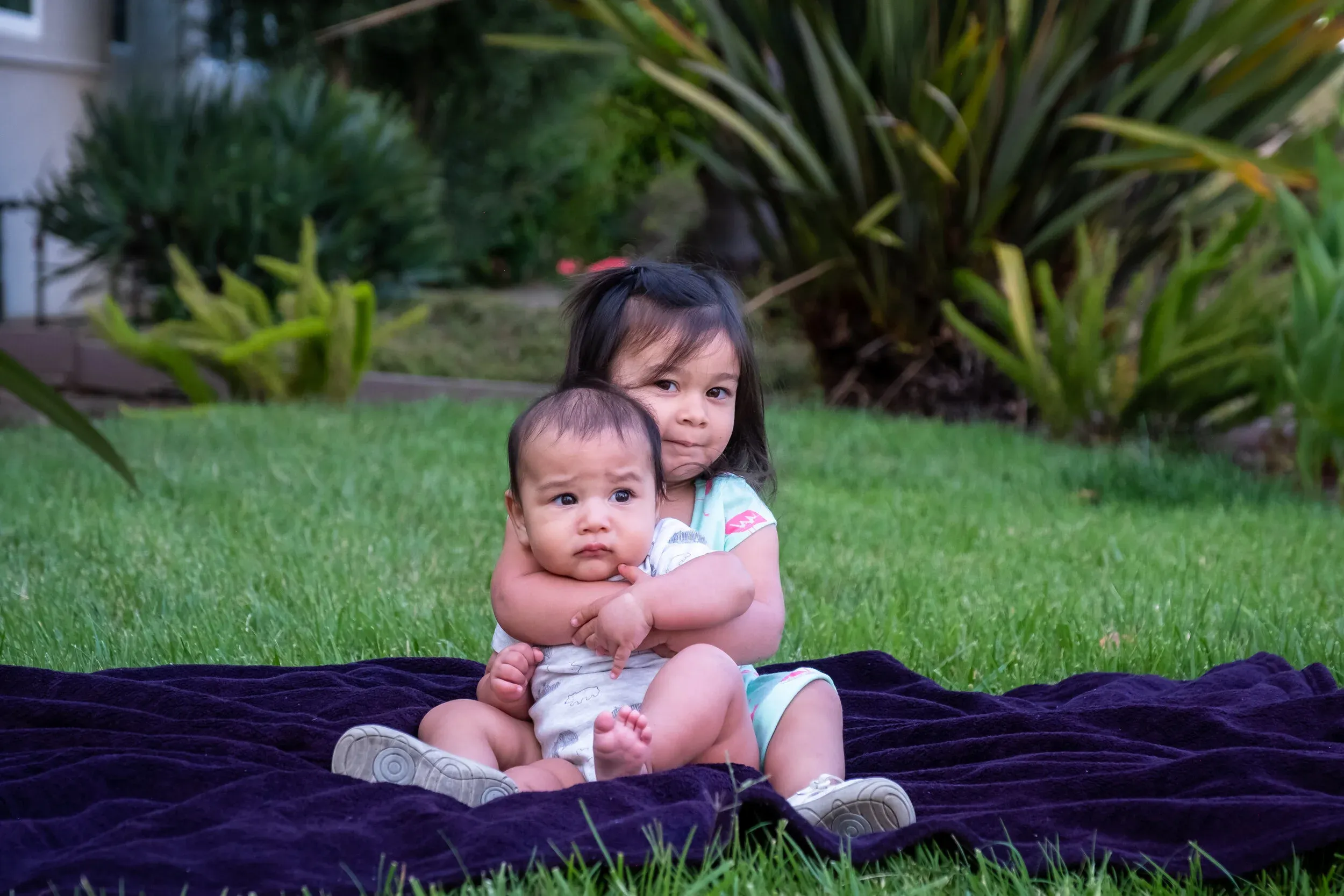 The Front Steps, Palo Alto — 48