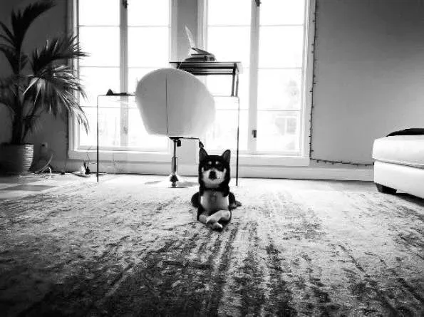 Guillermo Rauch with his Shiba Inu