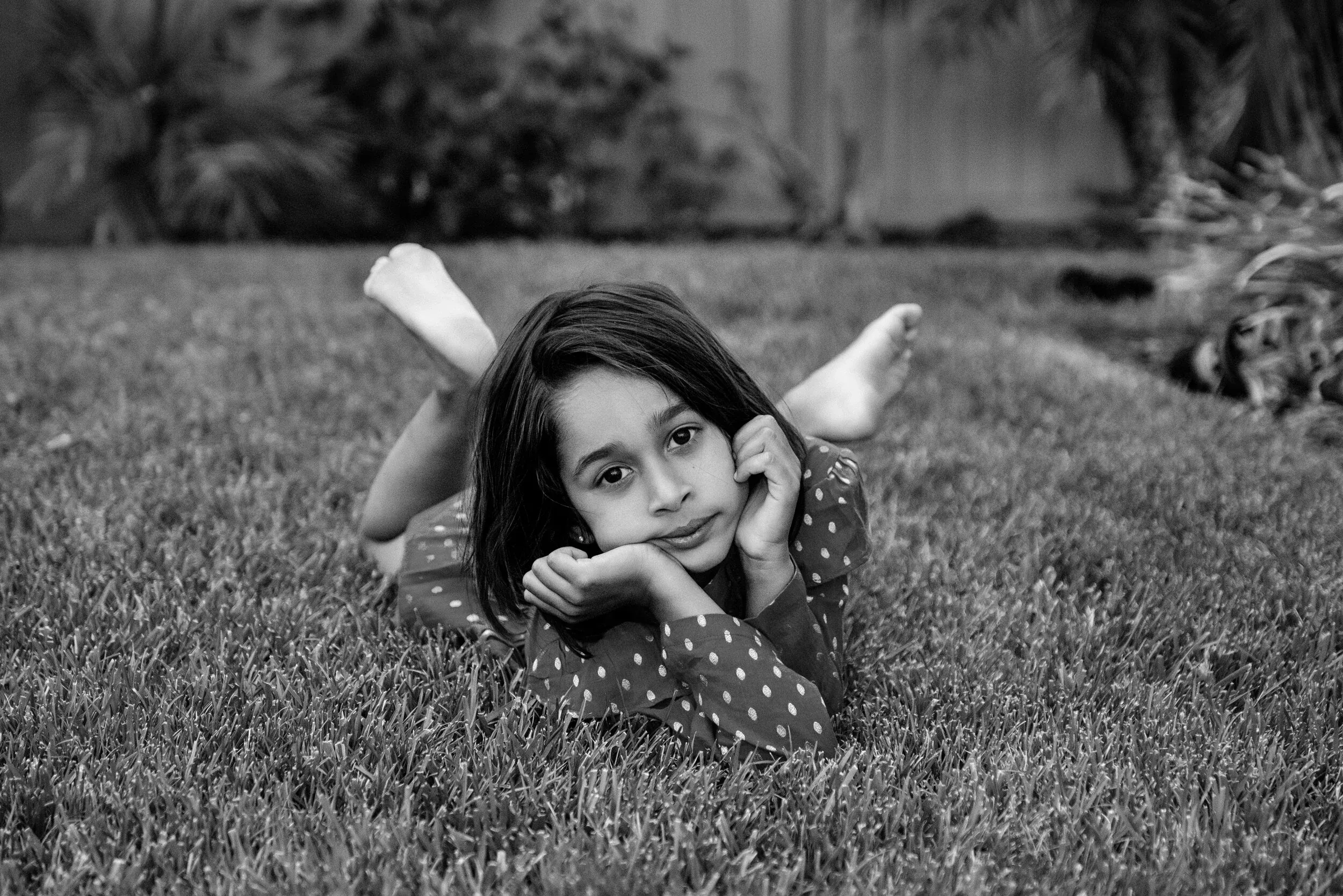 The Front Steps, Palo Alto — 54