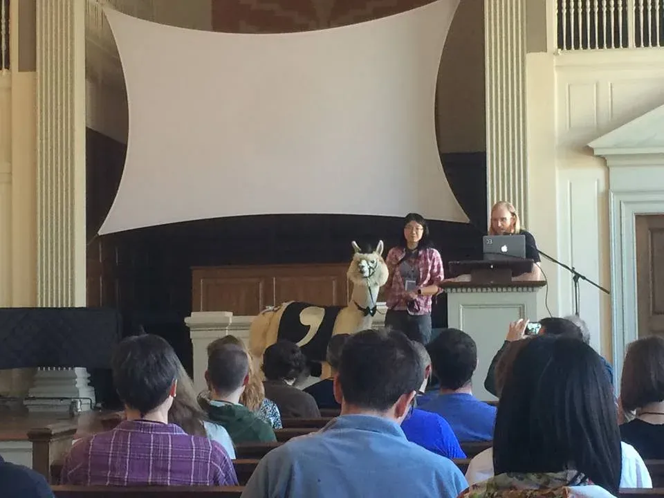 Dat distributed team collaboration