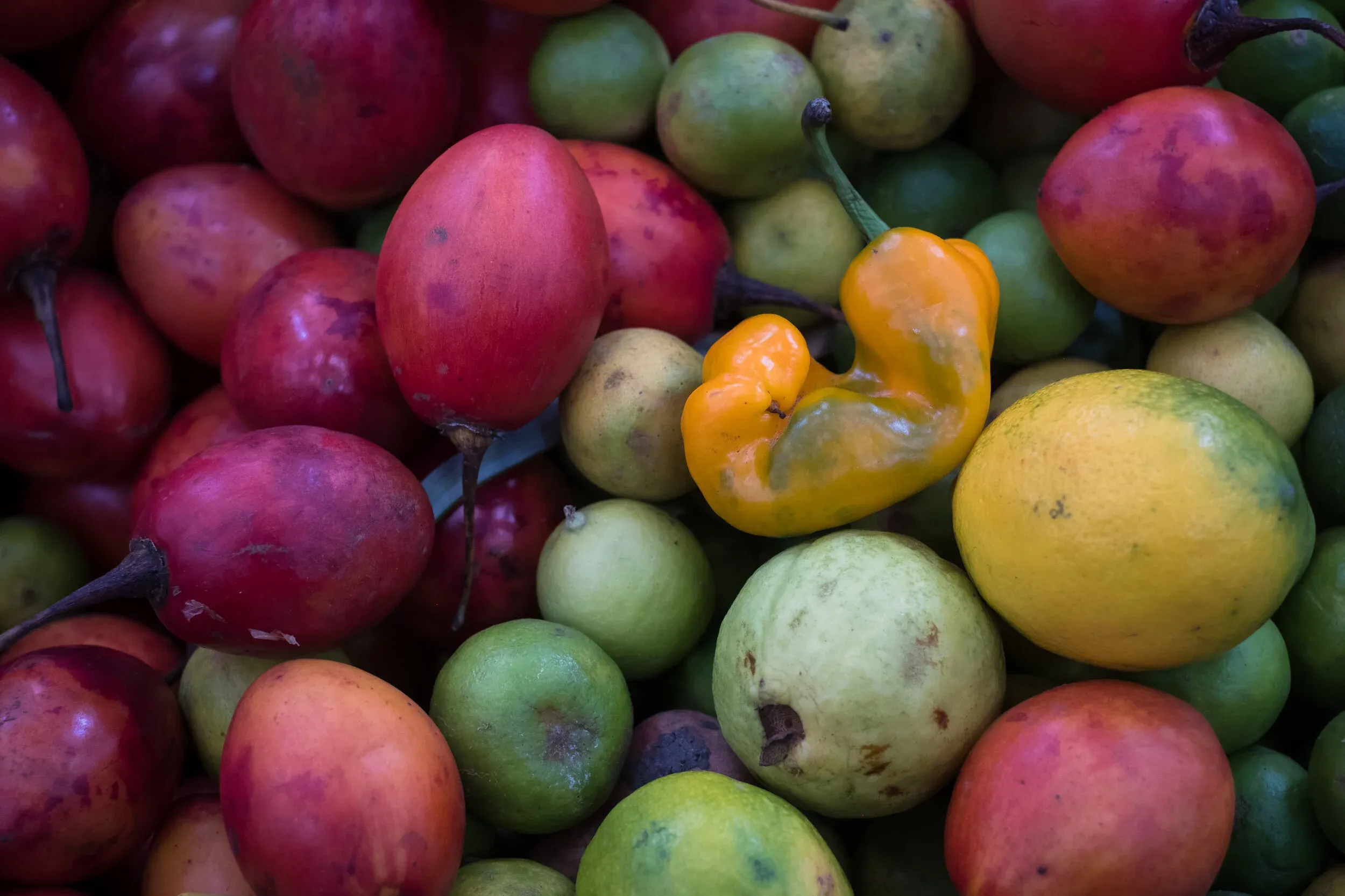 Cuenca market vendors