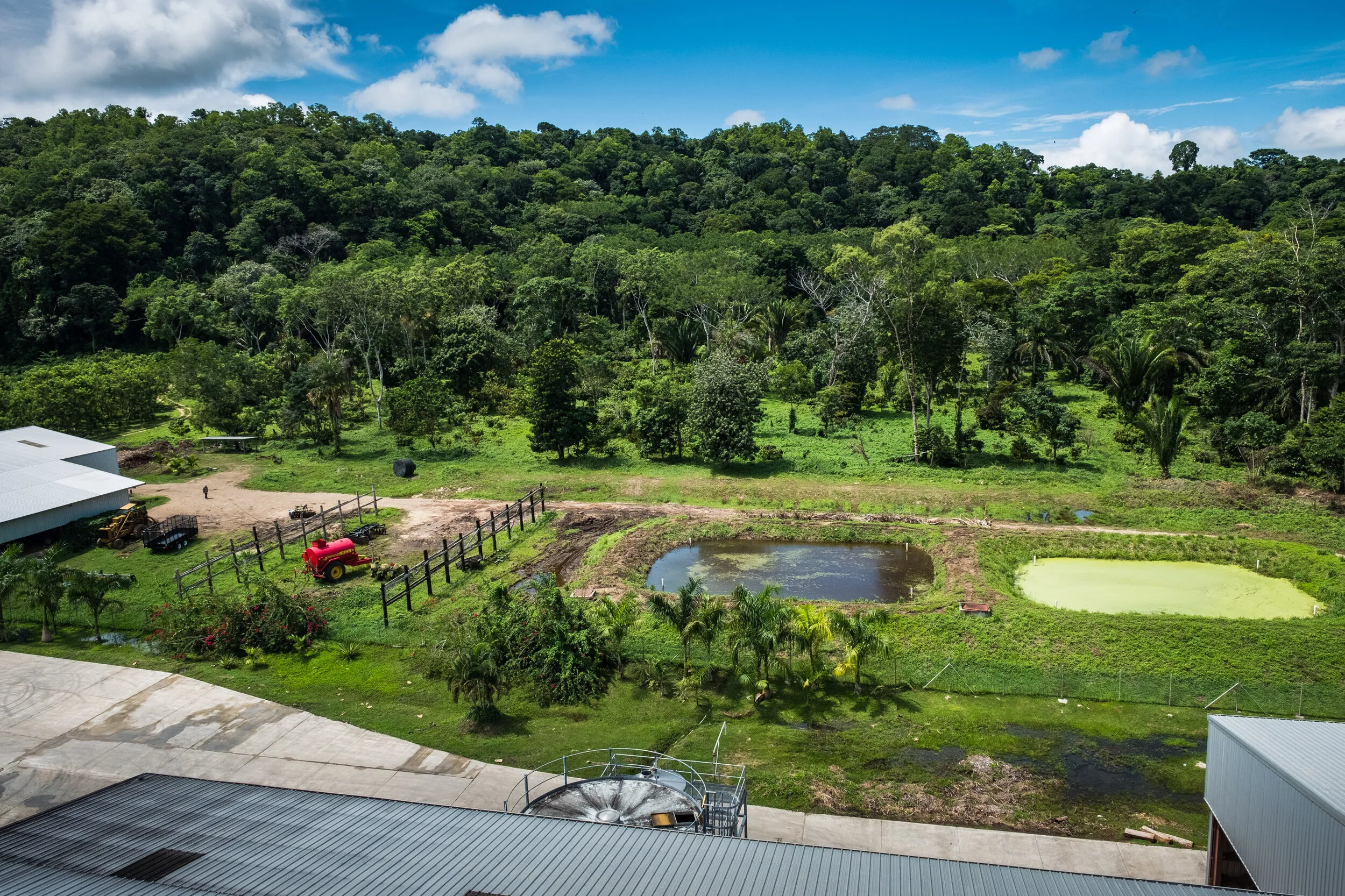 Waste Management at Copalli Distillery