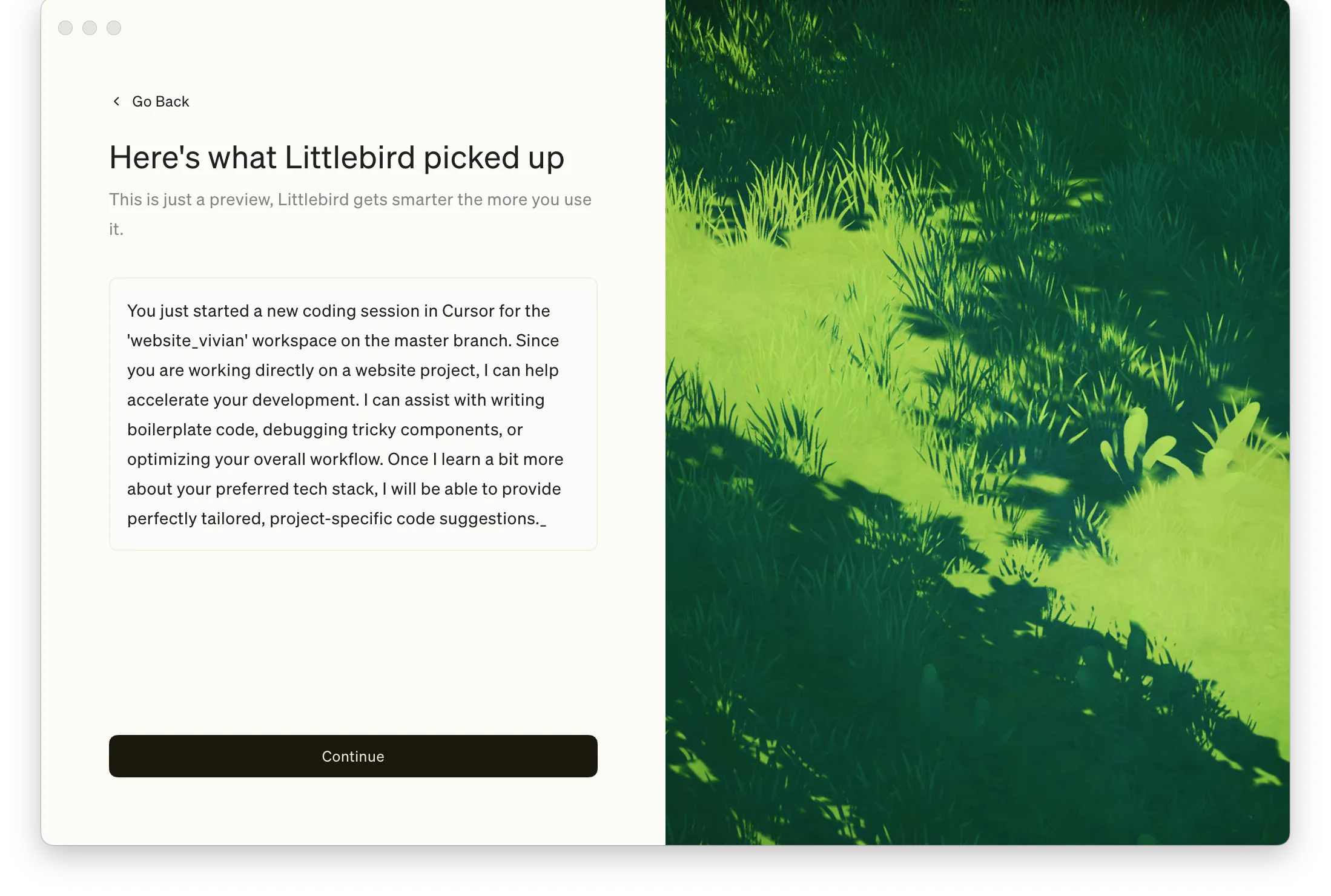 Littlebird showing what it detected from the current screen