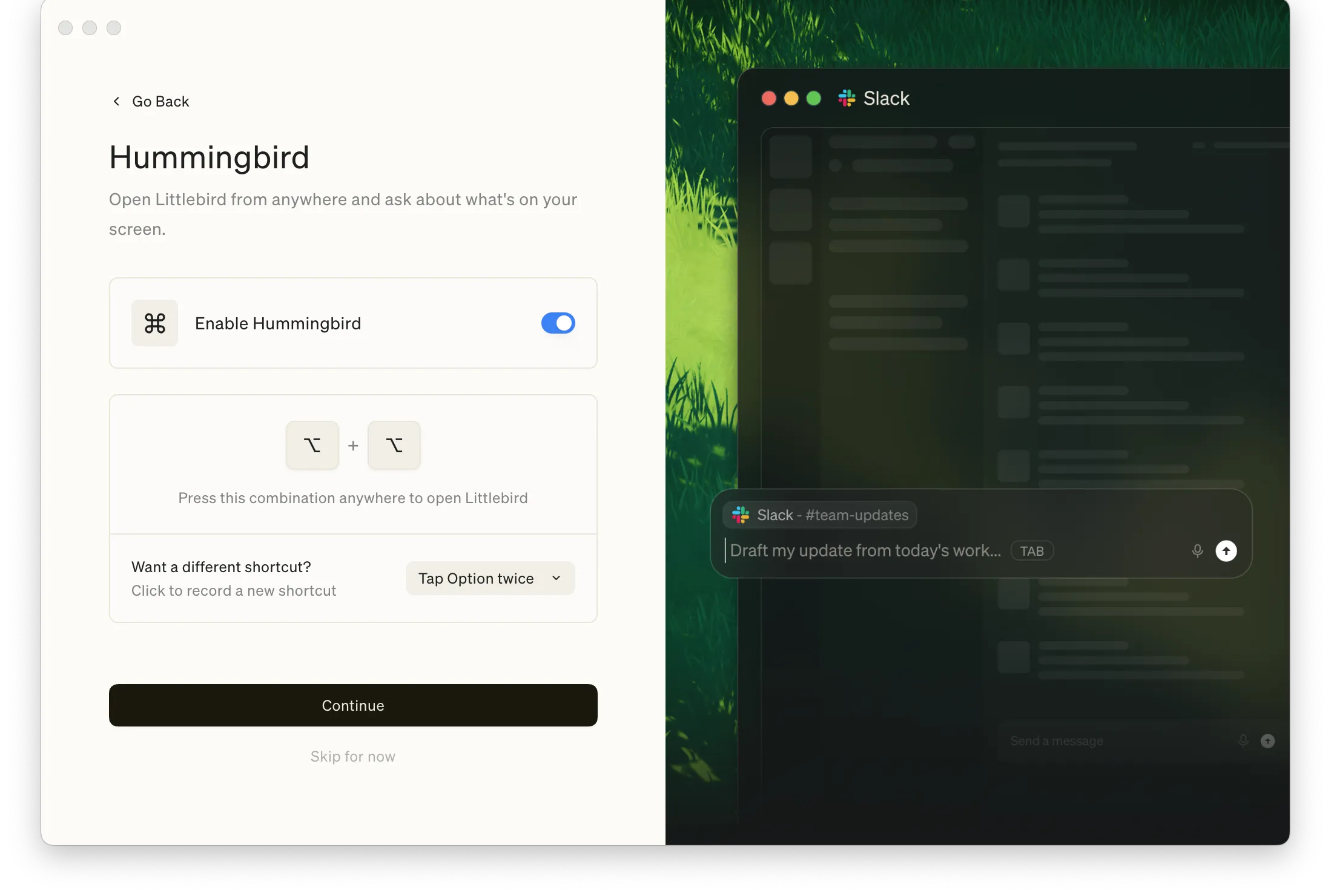 Hummingbird setup showing the double-tap Option shortcut