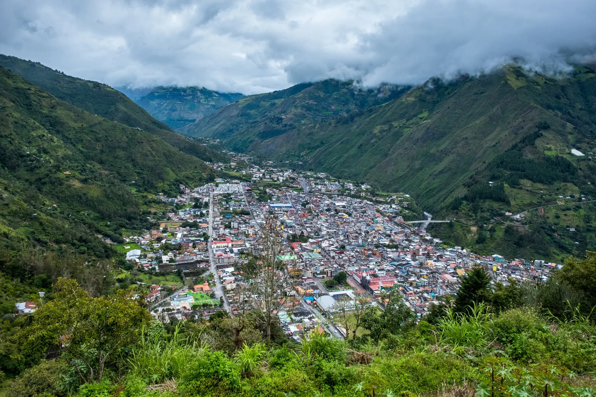 La Casa del Arbol view