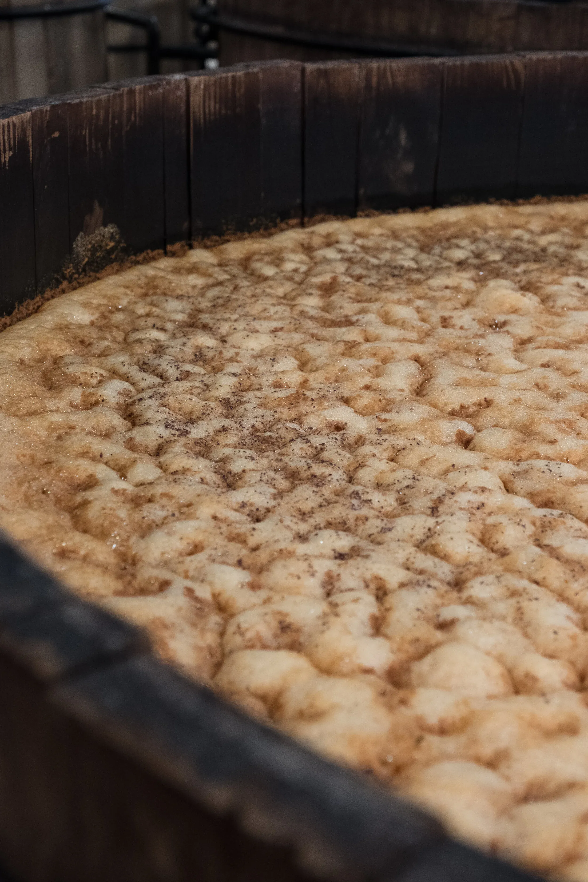 Pine wood fermentation tanks