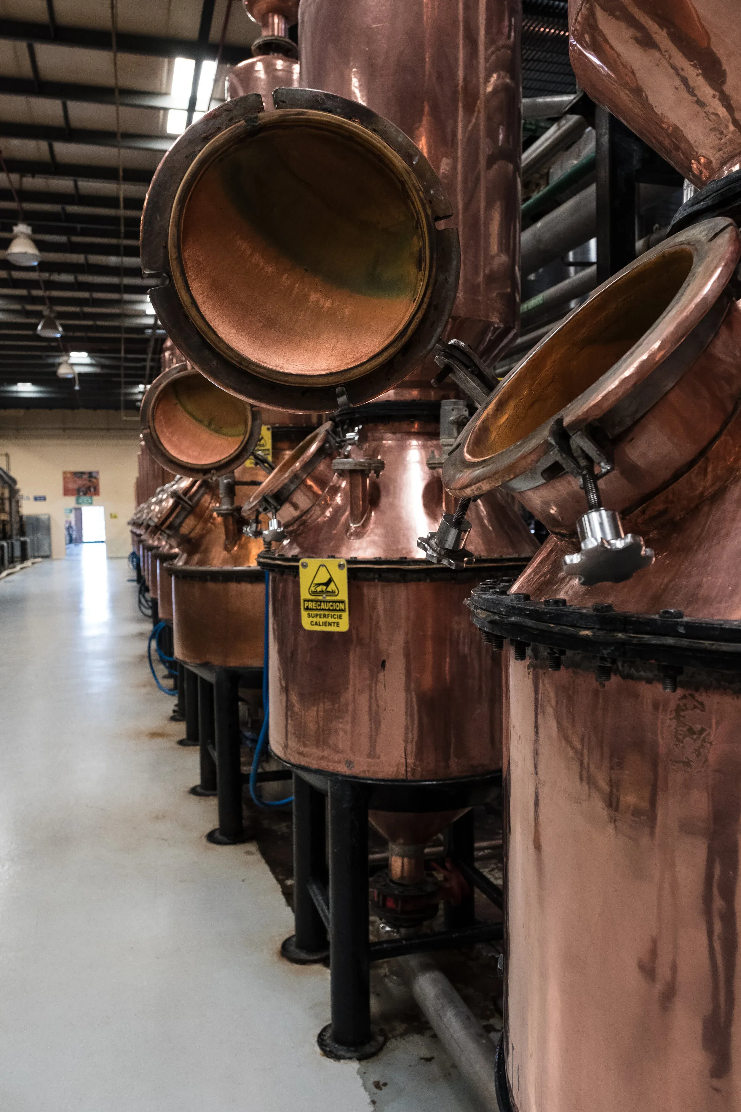 Custom copper pot stills at Patrón