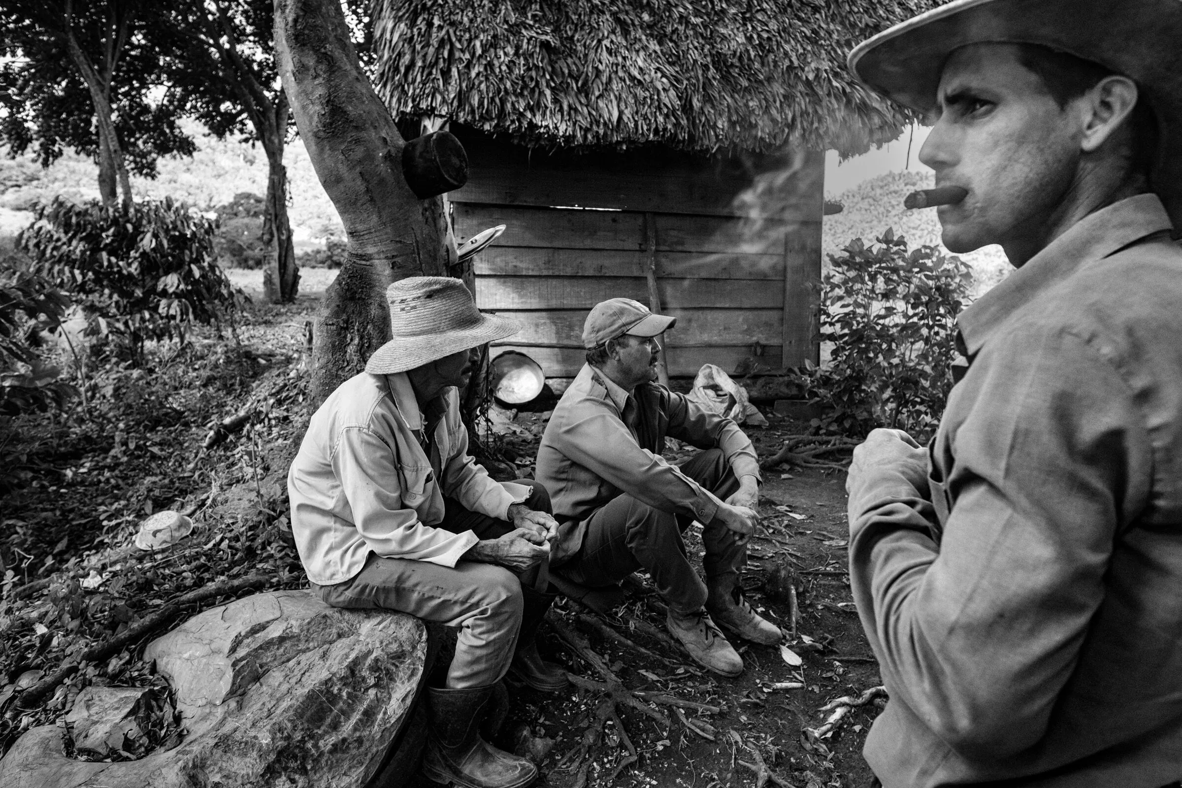 Cigar rolling in Viñales countryside